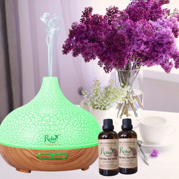 Máy phun giọt nước lớn 2 nút