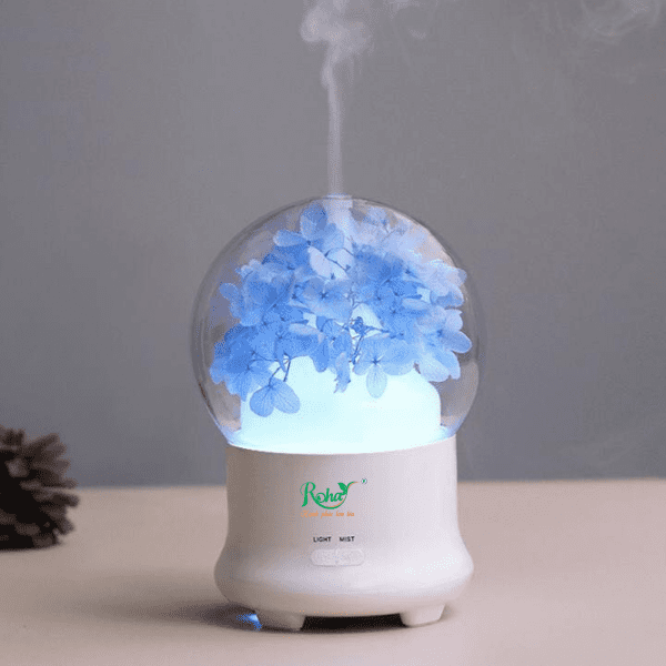 Phun Quả Cầu Xanh Biển