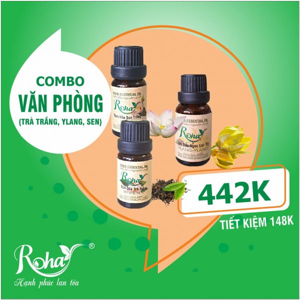 Combo văn phòng