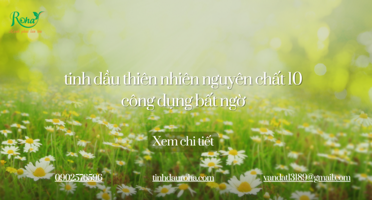 tinh dầu thiên nhiên nguyên chất